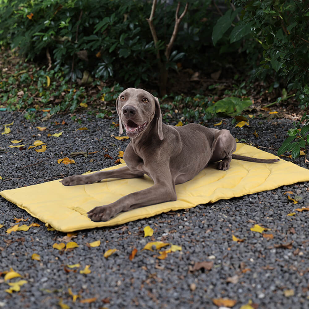 Copertura per seggiolino auto pieghevole, impermeabile e portatile per cani, Materassino da campeggio per cani.