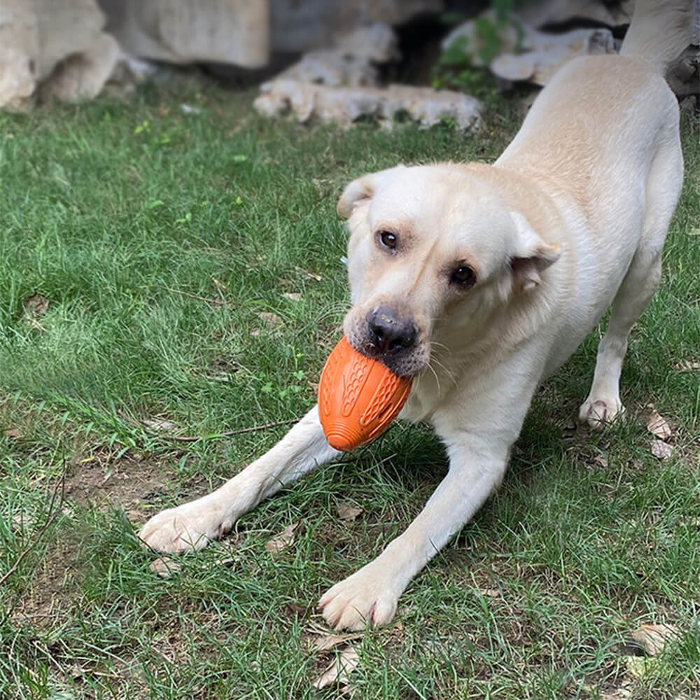 Giocattolo interattivo da masticare per cani a forma di pallone da calcio