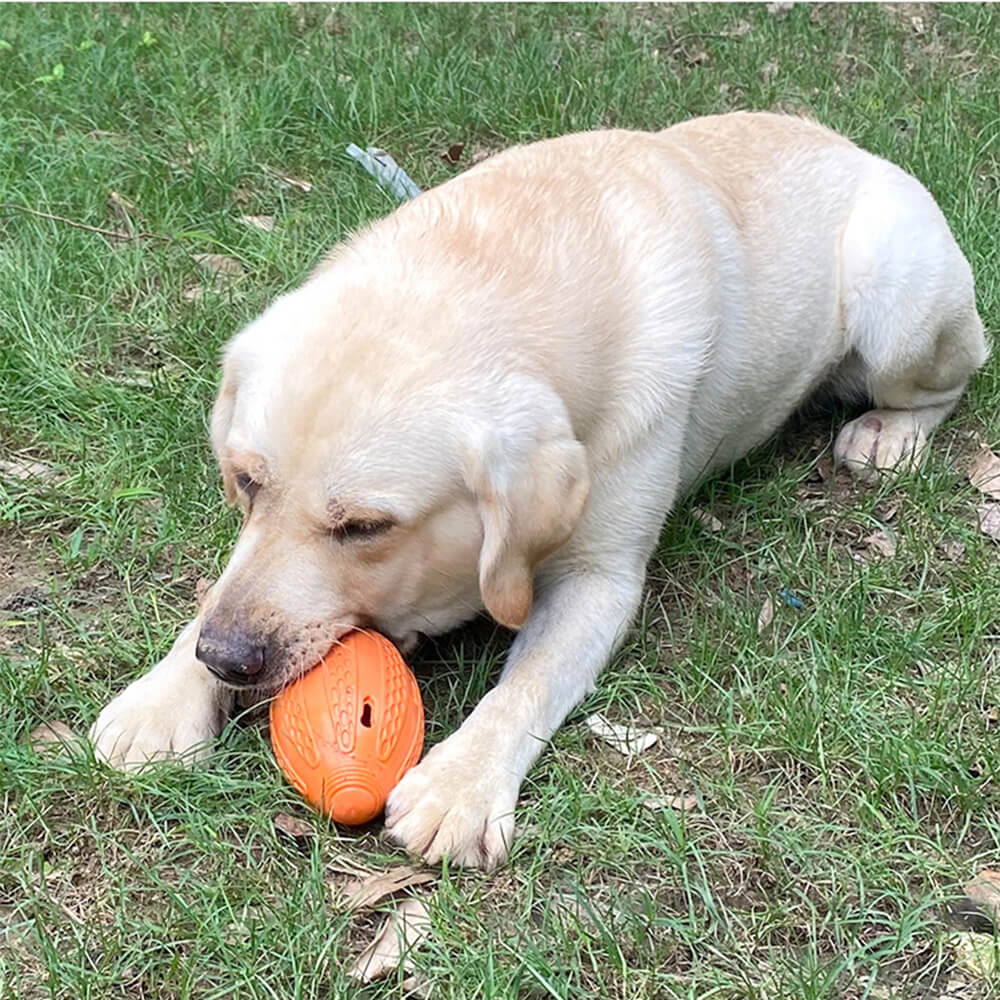 Giocattolo interattivo da masticare per cani a forma di pallone da calcio