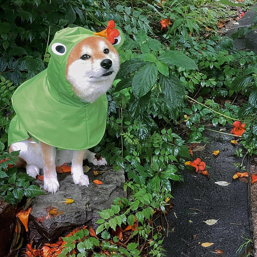 Frog-Inspired Waterproof Lightweight Dog Hooded Poncho Raincoat