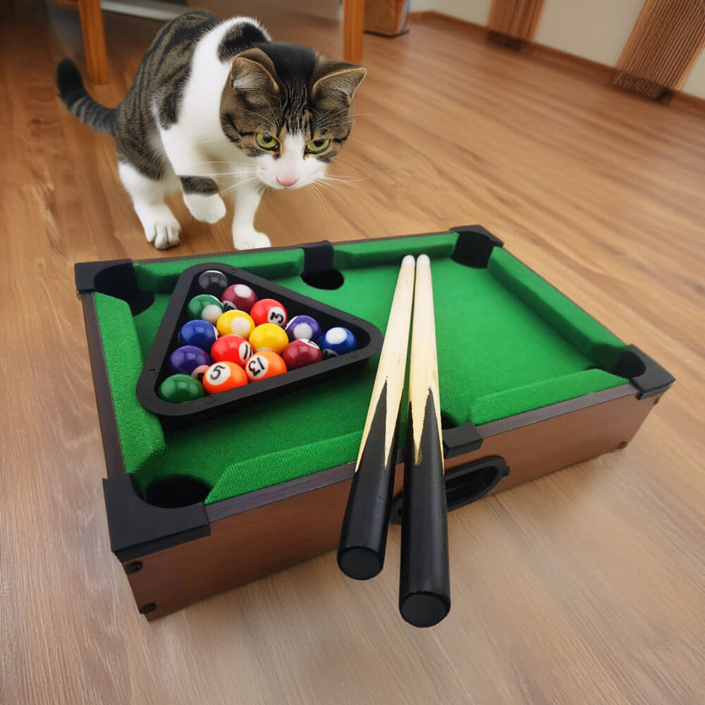 Gioco interattivo divertente: tavolo da biliardo da gioco.