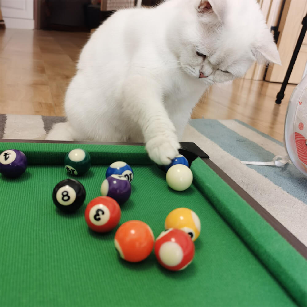 Gioco interattivo divertente: tavolo da biliardo da gioco.