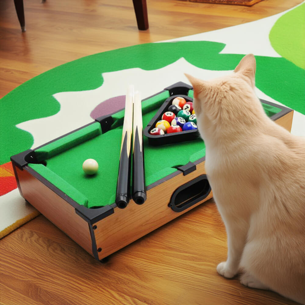 Gioco interattivo divertente: tavolo da biliardo da gioco.