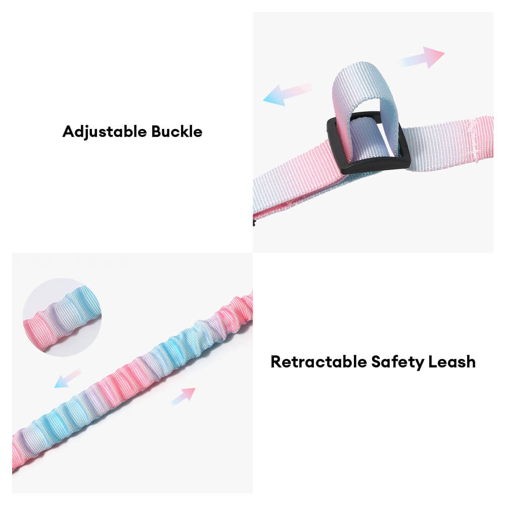 Cintura di Sicurezza per Animali Domestici con Assorbimento degli Urti Elastico a Gradiente