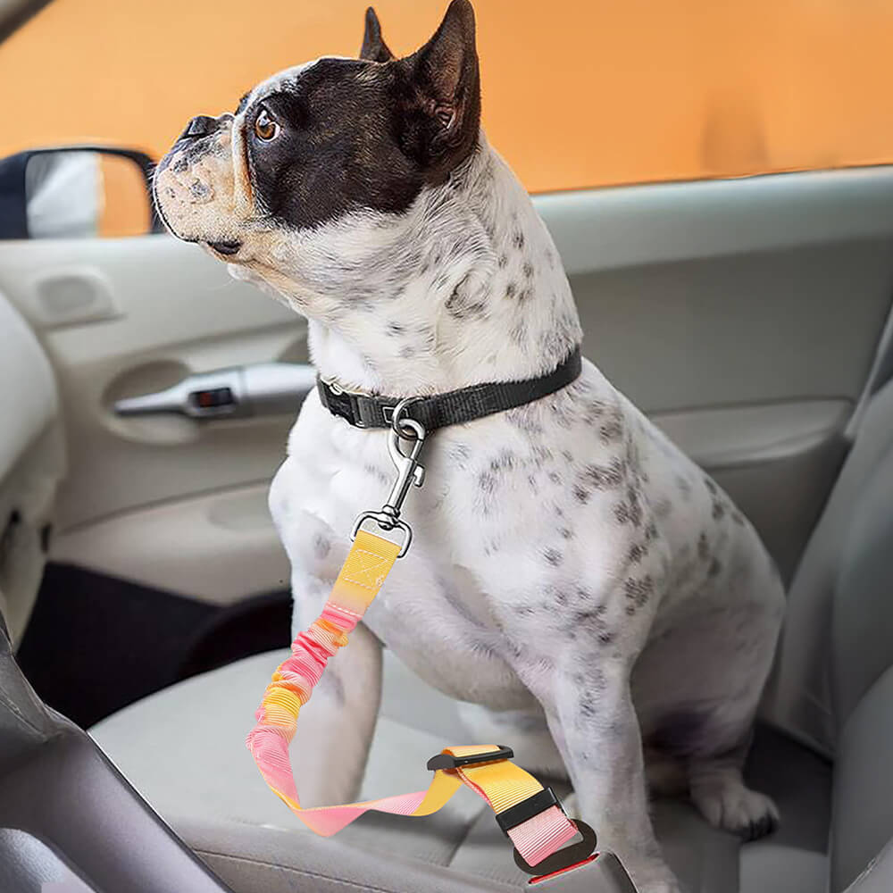 Cintura di Sicurezza per Animali Domestici con Assorbimento degli Urti Elastico a Gradiente