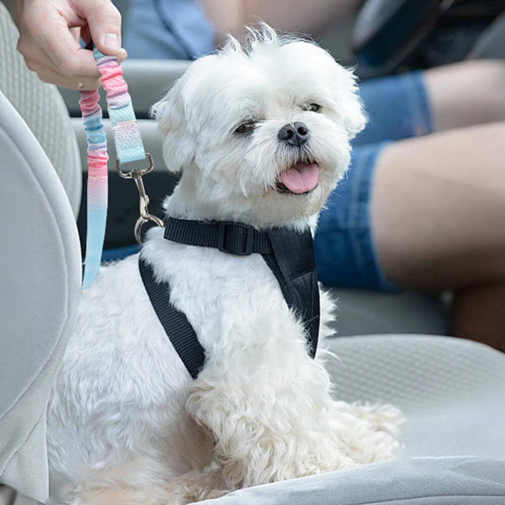 Cintura di Sicurezza per Animali Domestici con Assorbimento degli Urti Elastico a Gradiente