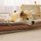 Lussuoso letto per cani da sonno profondo in pelle retrò con cuscino con cuscino