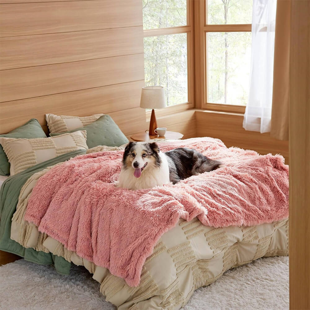 Coperta per cani domestici di lusso, impermeabile, in pile, calda e multiuso.