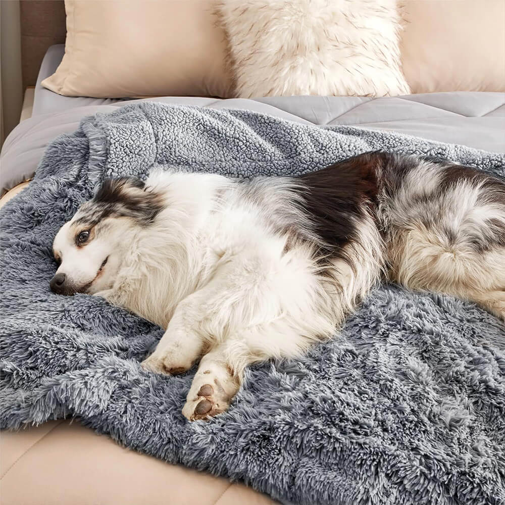 Coperta per cani domestici di lusso, impermeabile, in pile, calda e multiuso.