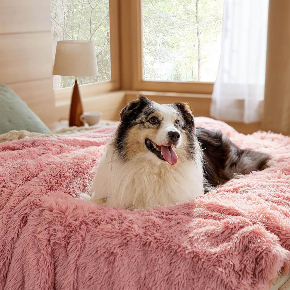 Coperta per cani domestici di lusso, impermeabile, in pile, calda e multiuso.