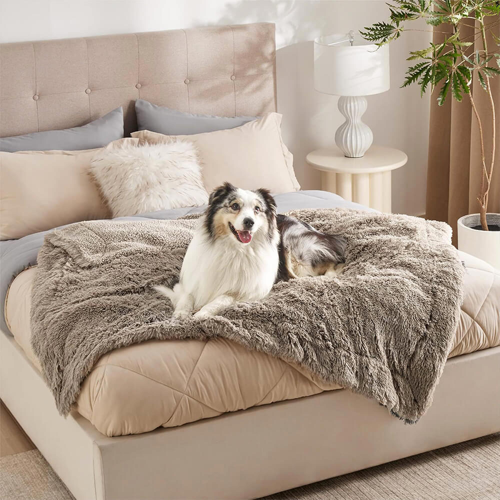Coperta per cani domestici di lusso, impermeabile, in pile, calda e multiuso.