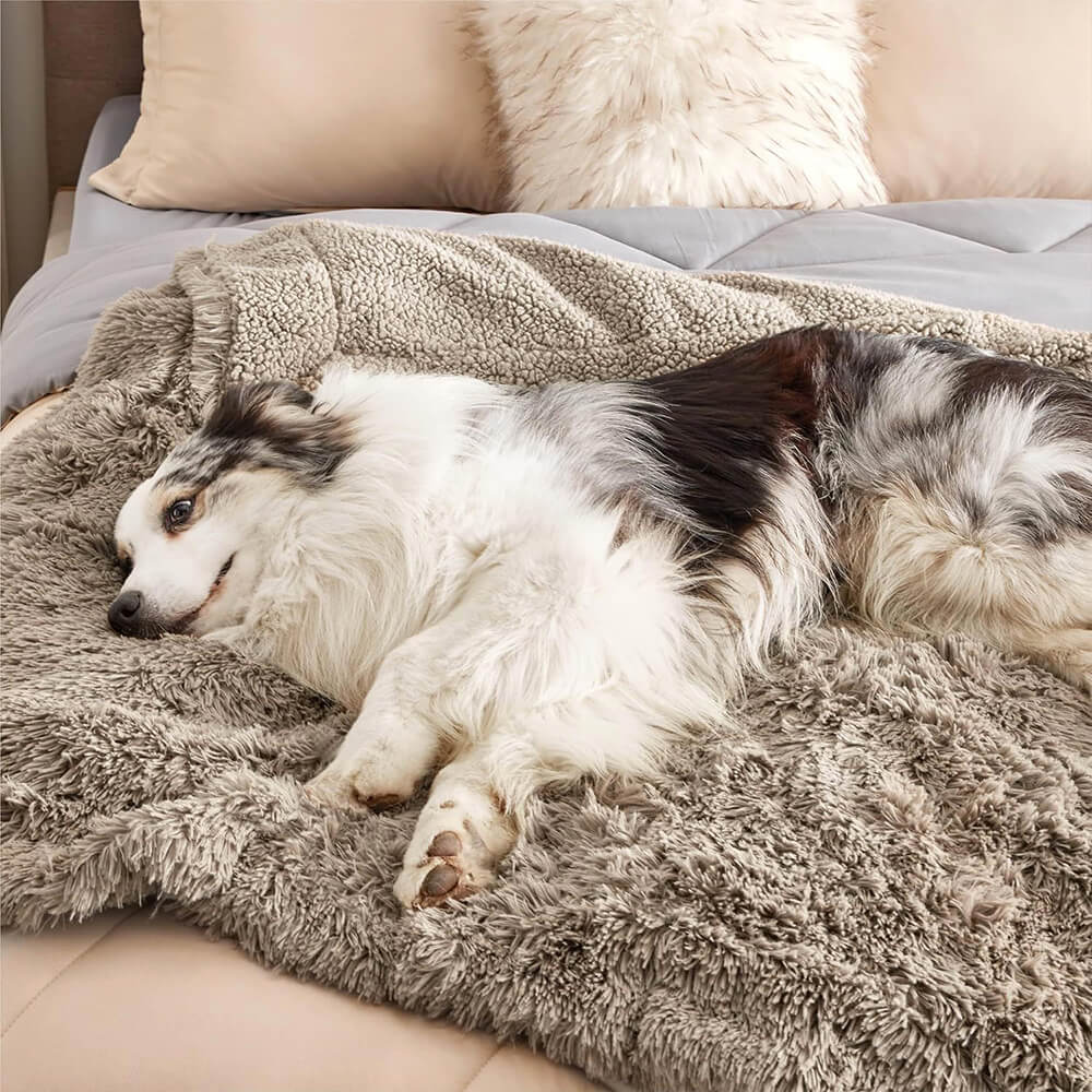 Coperta per cani domestici di lusso, impermeabile, in pile, calda e multiuso.