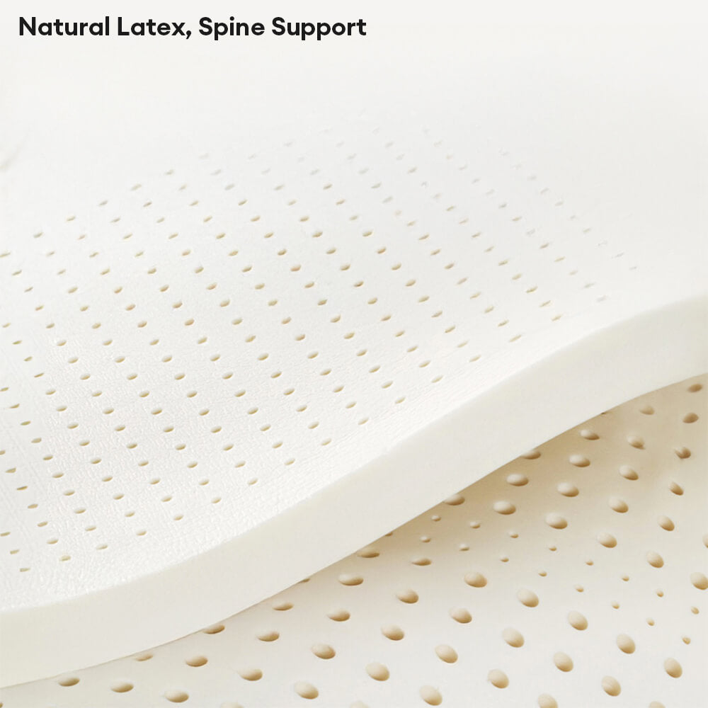 Letto per cani e gatti in lattice naturale di lusso, anti-graffi e sostegno.