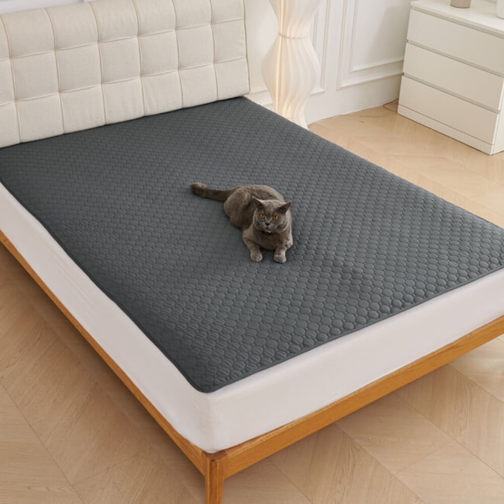 Tappetino assorbente multiuso, impermeabile e lavabile per animali domestici, adatto per divano e letto