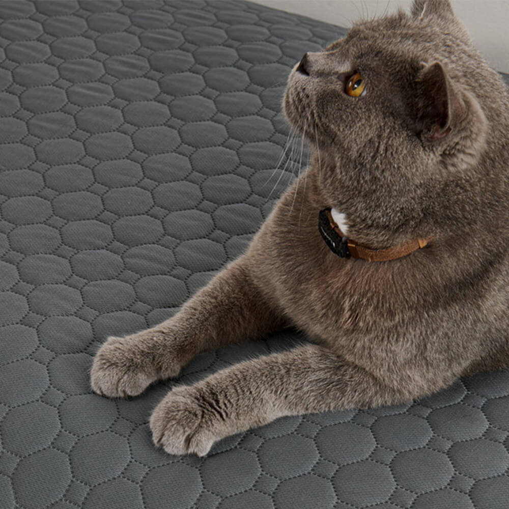 Tappetino assorbente multiuso, impermeabile e lavabile per animali domestici, adatto per divano e letto