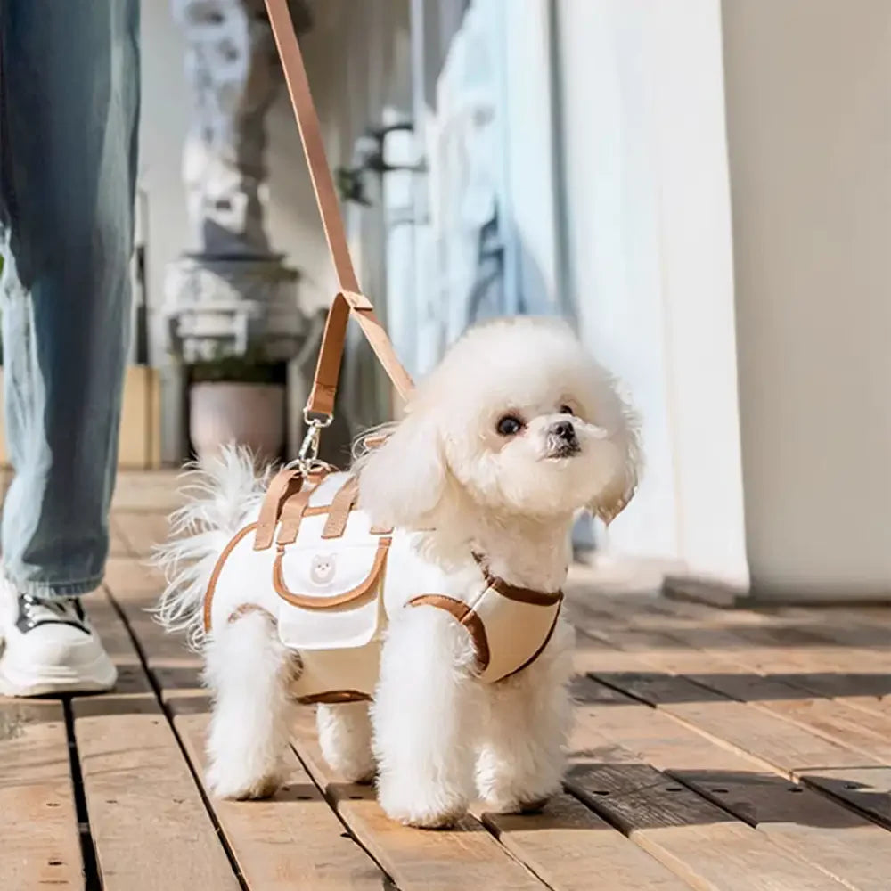 Zaino portatile multifunzionale per cani di piccola taglia con trazione a tracolla