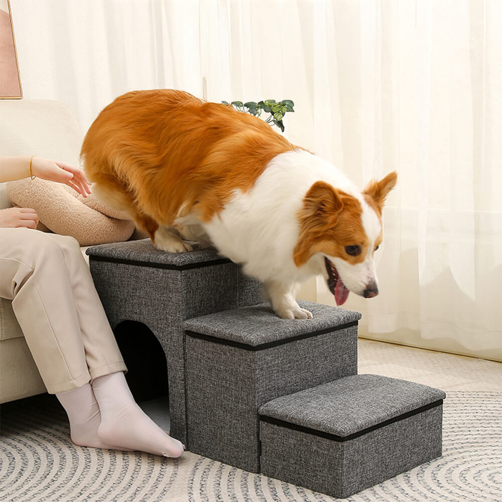 Scale per cani portatili multifunzionali pieghevoli con deposito e condominio