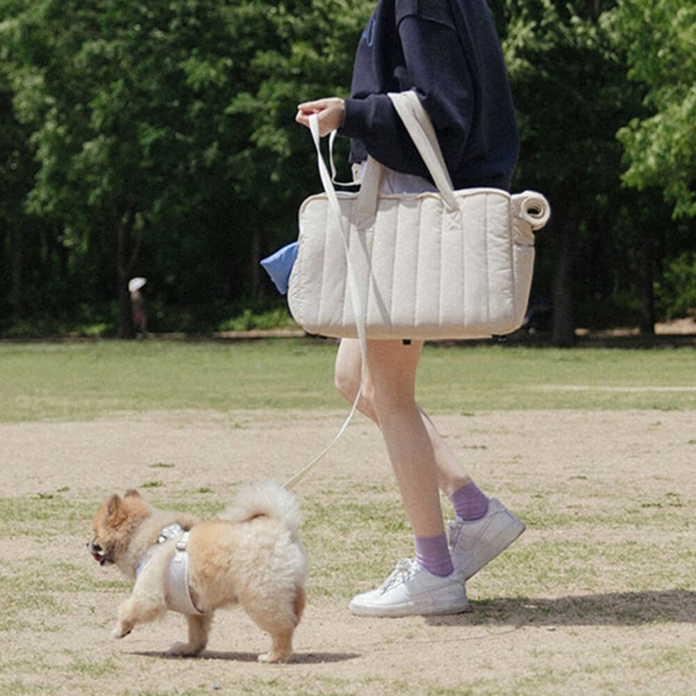 Borsa per il trasporto di cani e gatti in nylon leggero e traspirante, portatile.