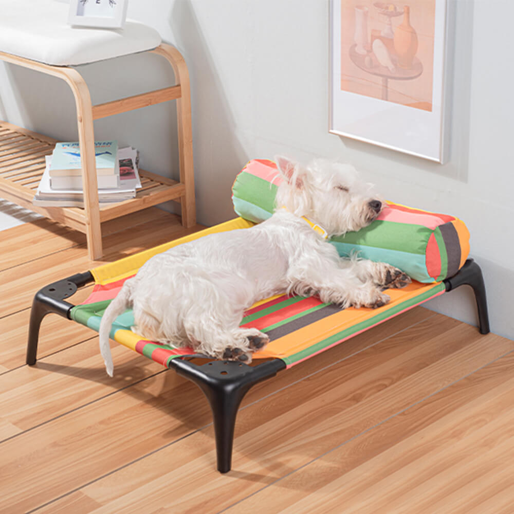 Rainbow Striped Elevated Pet Bed with Pillow – Durable, Bite-Resistant, and Load-Bearing