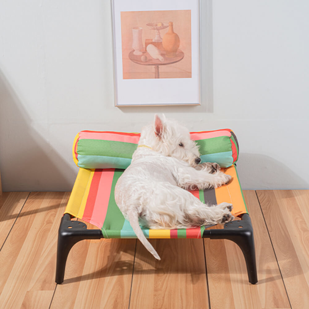 Rainbow Striped Elevated Pet Bed with Pillow – Durable, Bite-Resistant, and Load-Bearing