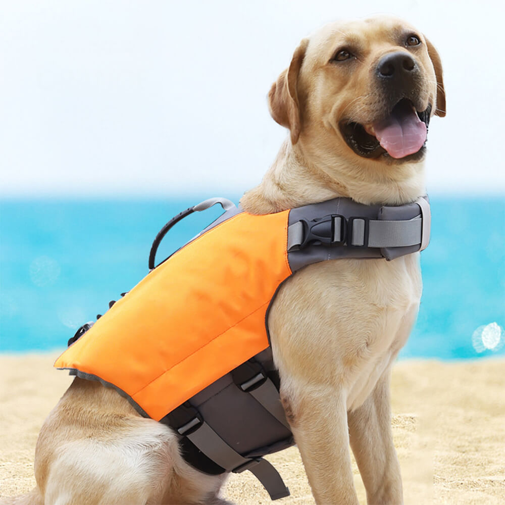 Giubbotto di salvataggio per cani ad alta visibilità, sicuro e galleggiante