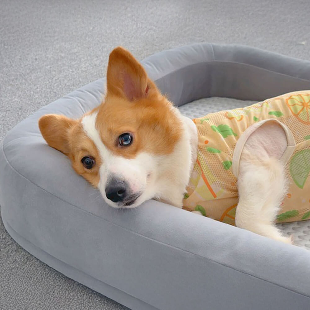 Letto per cani ovale morbido, refrigerante, reversibile, lavabile, adatto a tutte le stagioni.