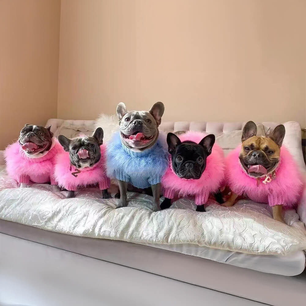 Maglione a collo alto lavorato a maglia per cani, morbido, soffice, alla moda e lussuoso