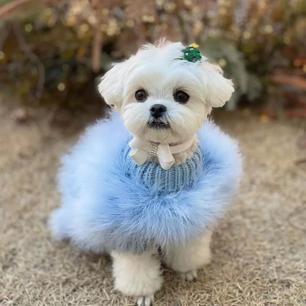 Maglione lavorato a maglia dolcevita per cani morbido e soffice alla moda