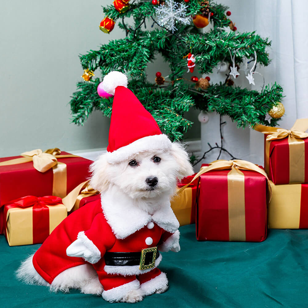 Costume stereoscopico per cani cosplay con cappello da Babbo Natale di Natale