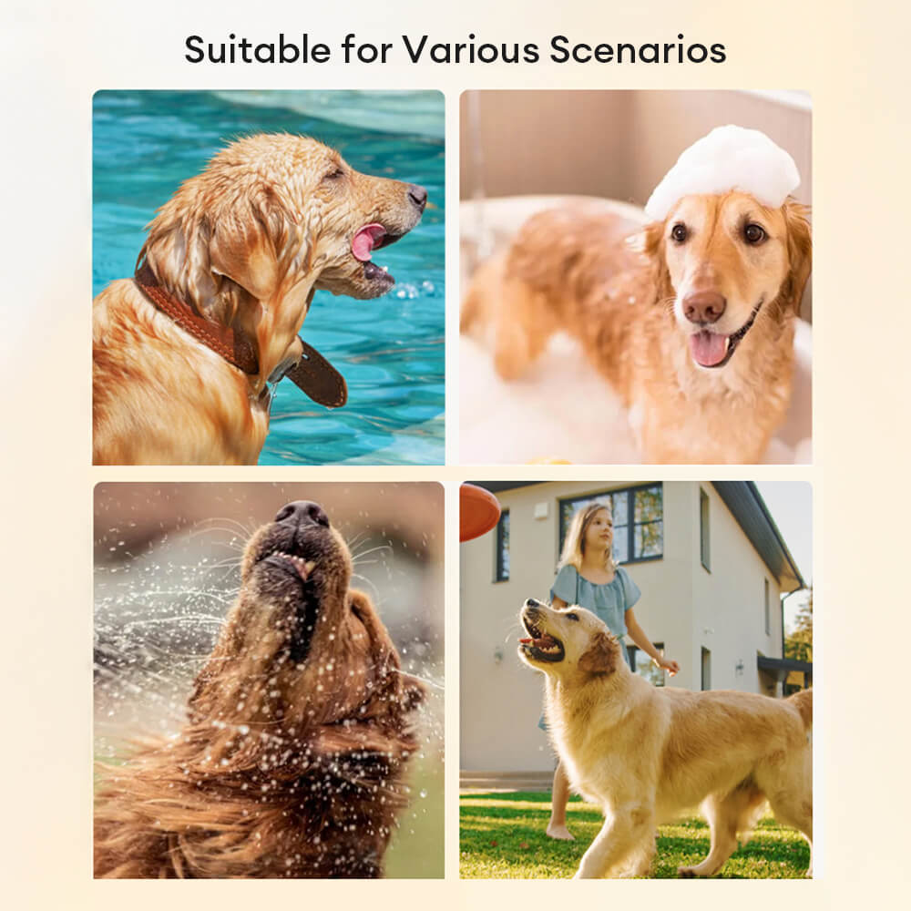 Accappatoio asciugamani per cani multicolore, assorbente, spesso, grande e delicato sulla pelle.