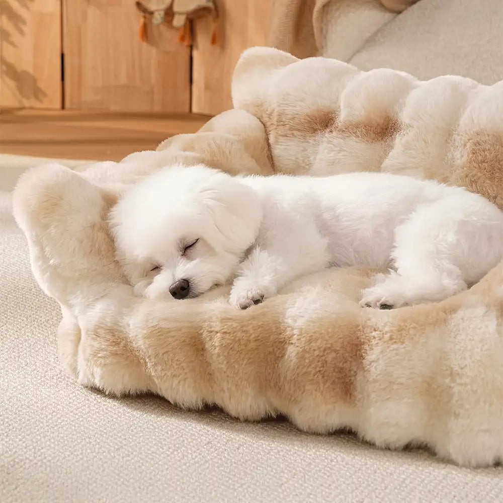 Cuscino per cani e gatti soffice e confortevole con stampa tie-dye colorato