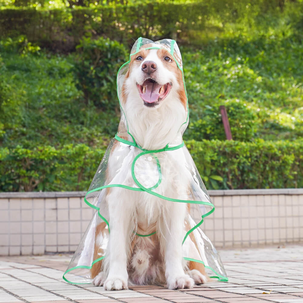 Transparenter, wasserdichter EVA-Regenmantel für Hunde mit Kapuze