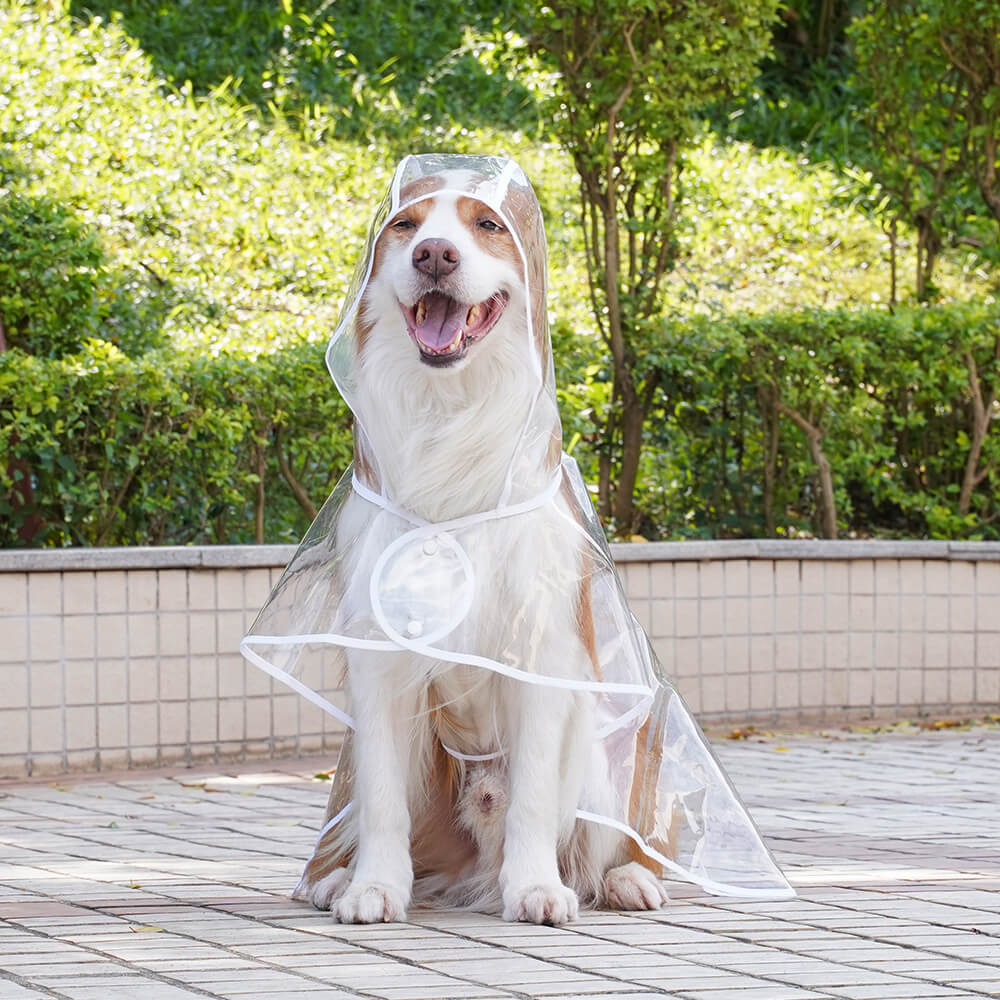 Transparenter, wasserdichter EVA-Regenmantel für Hunde mit Kapuze