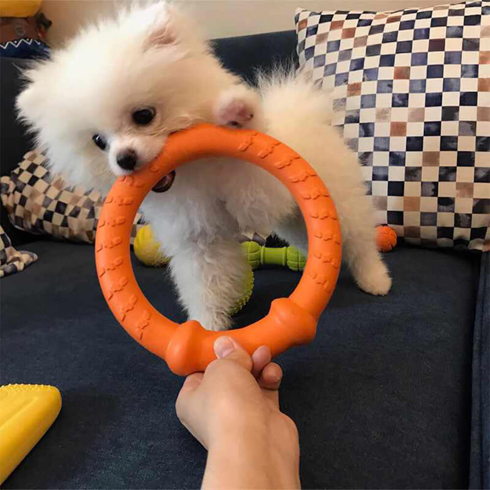 Gioco interattivo per cani War Ring resistente, impermeabile, leggero e flessibile.