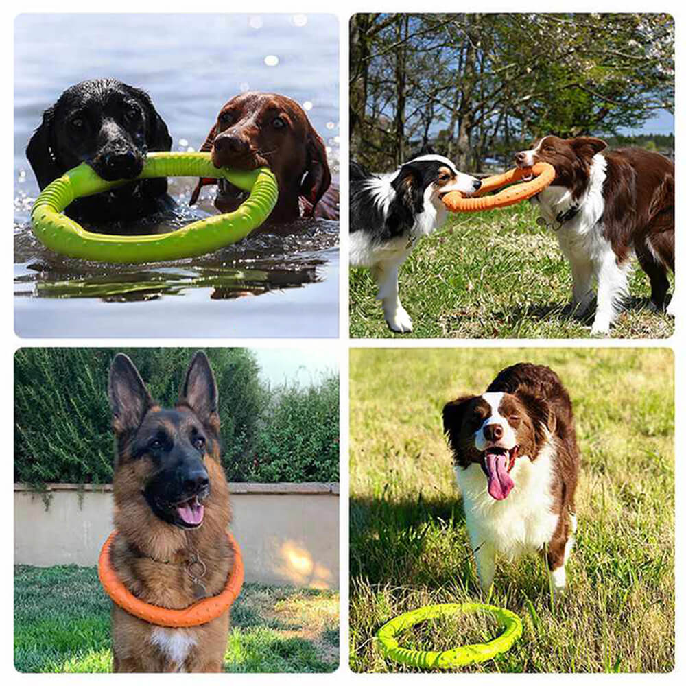 Gioco interattivo per cani War Ring resistente, impermeabile, leggero e flessibile.
