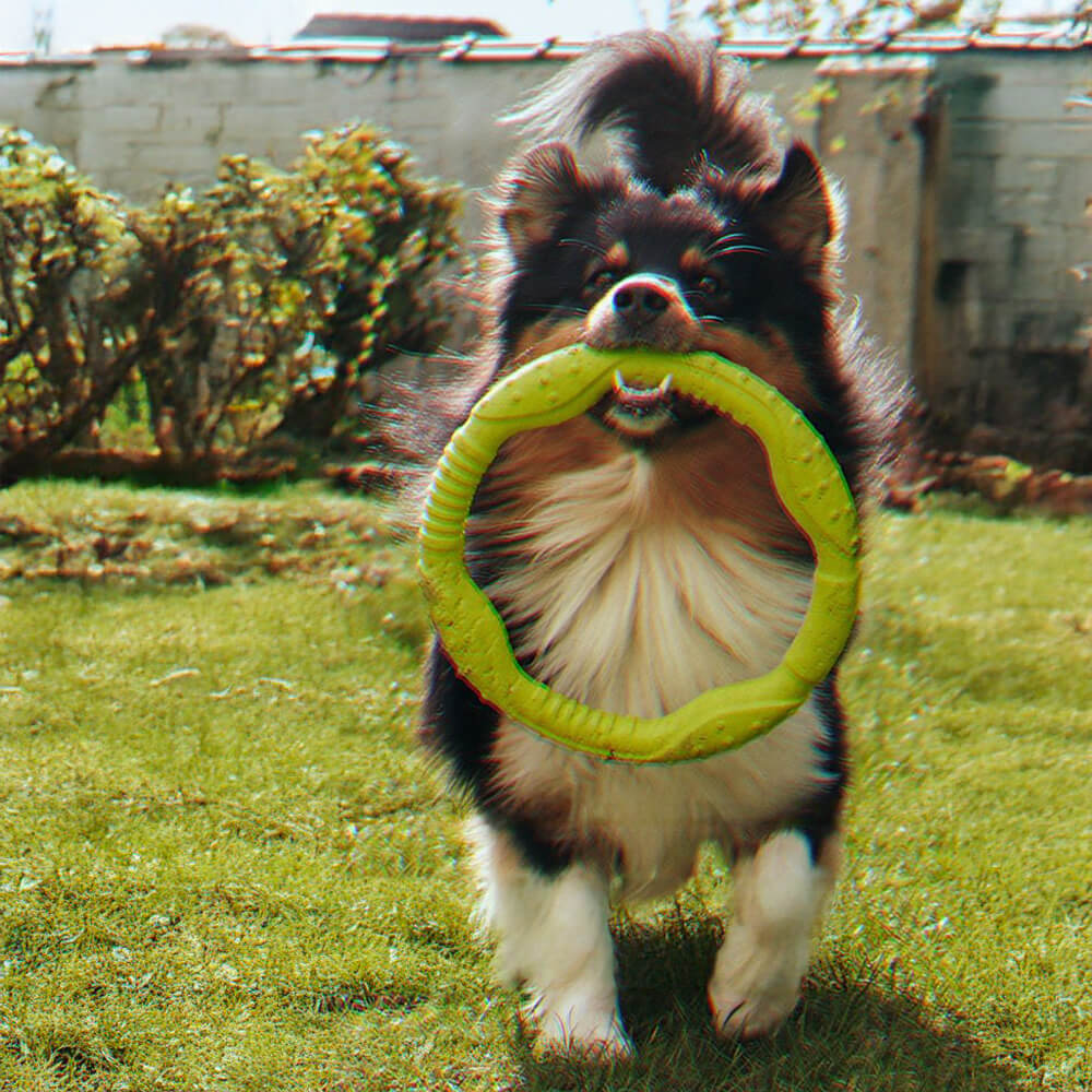 Gioco interattivo per cani War Ring resistente, impermeabile, leggero e flessibile.