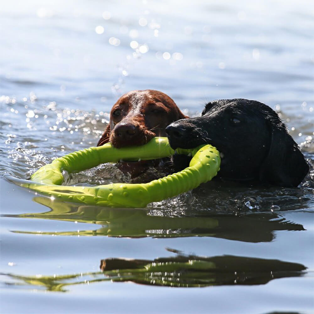 Gioco interattivo per cani War Ring resistente, impermeabile, leggero e flessibile.