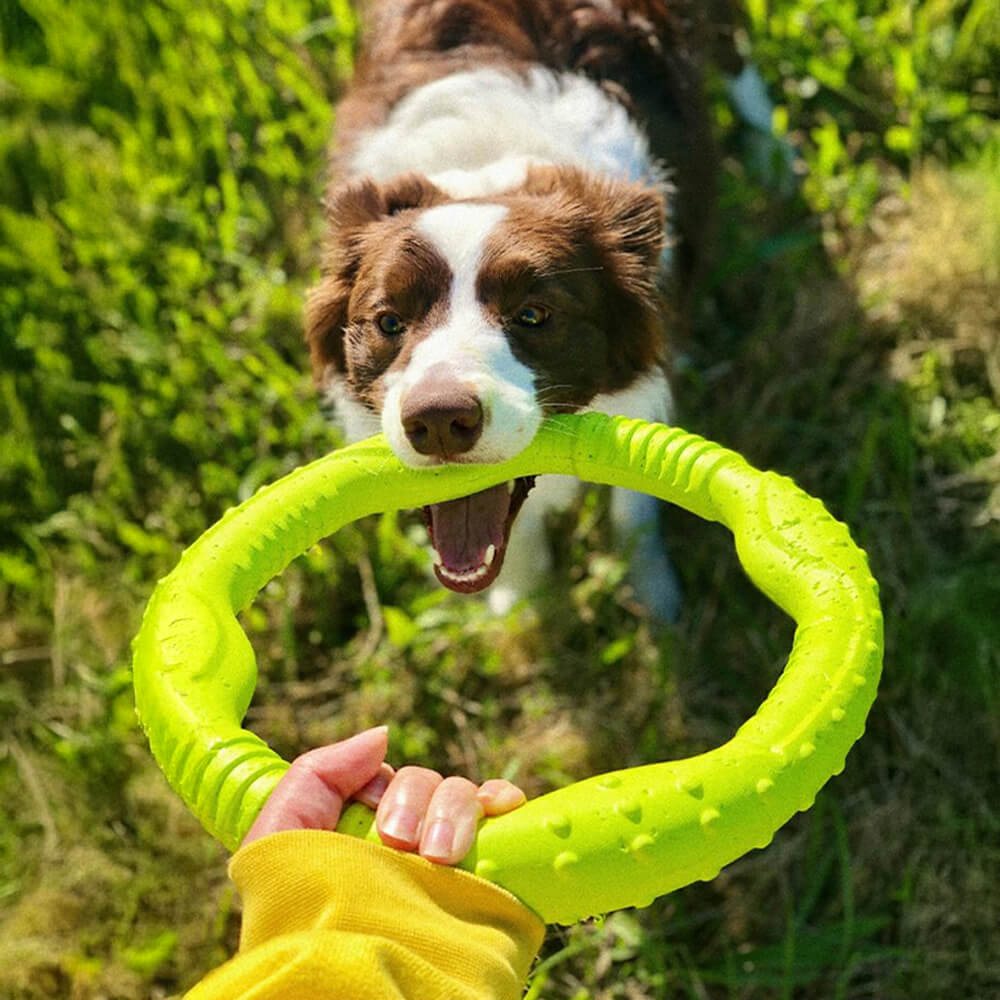 Gioco interattivo per cani War Ring resistente, impermeabile, leggero e flessibile.