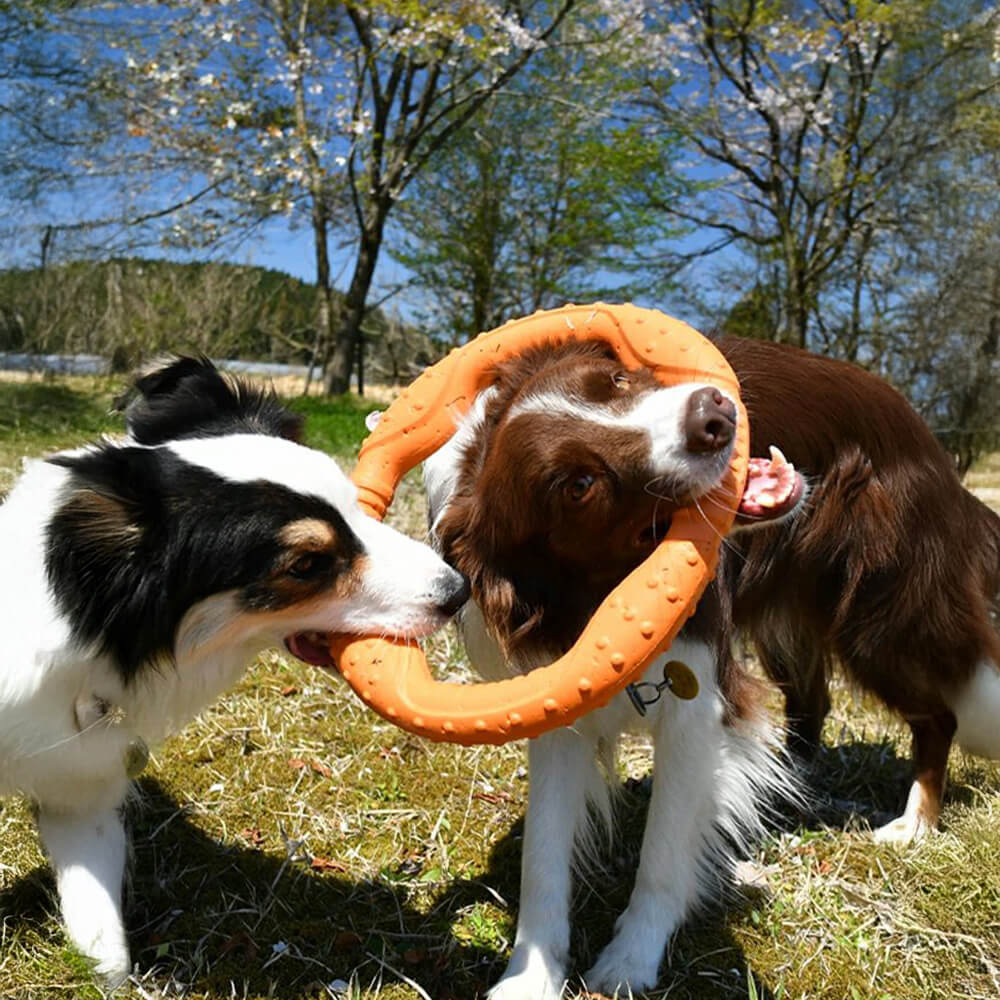 Gioco interattivo per cani War Ring resistente, impermeabile, leggero e flessibile.