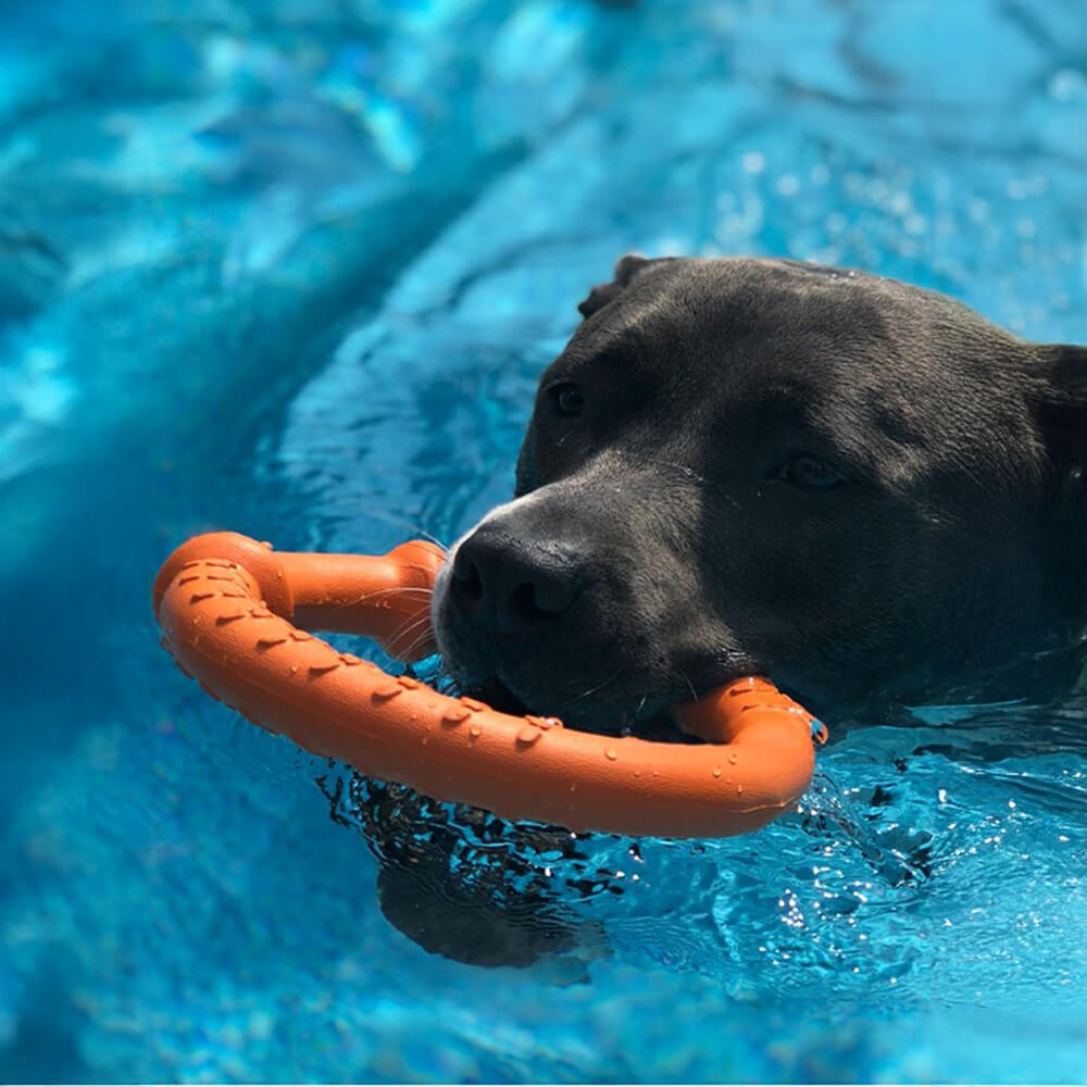 Gioco interattivo per cani War Ring resistente, impermeabile, leggero e flessibile.