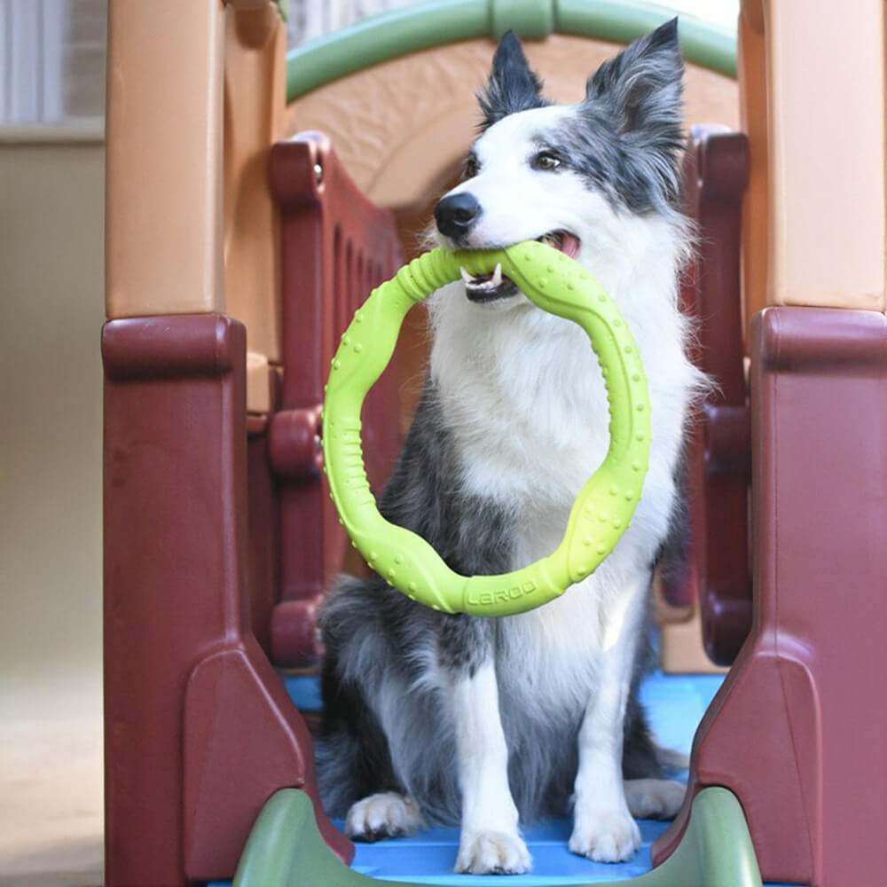 Gioco interattivo per cani War Ring resistente, impermeabile, leggero e flessibile.
