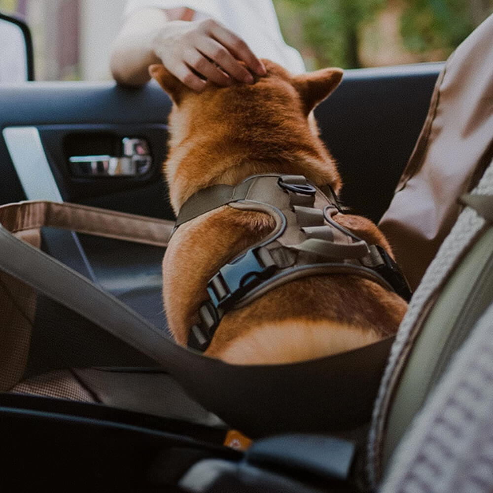 Waterproof Scratch-Resistant Foldable Portable Front Seat Dog Travel Mat