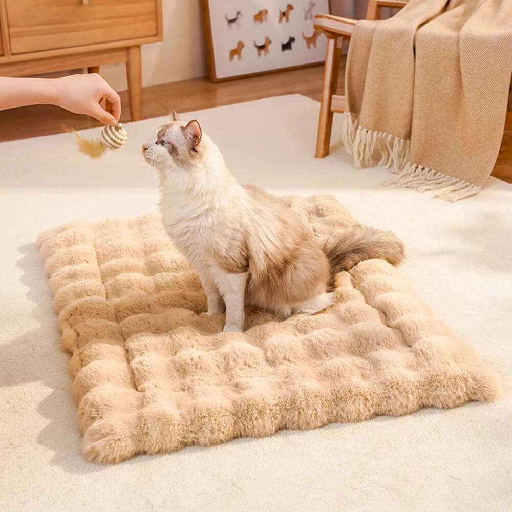 Tapis pour chien et chat en fausse fourrure de lapin ultra doux à motif ondulé avec oreiller pour animaux de compagnie