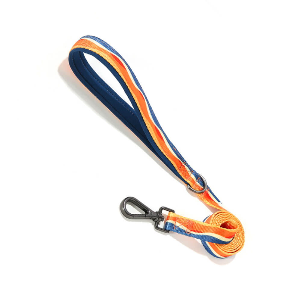 Kit di museruola e guinzaglio per cani regolabile e durevole a forma di X