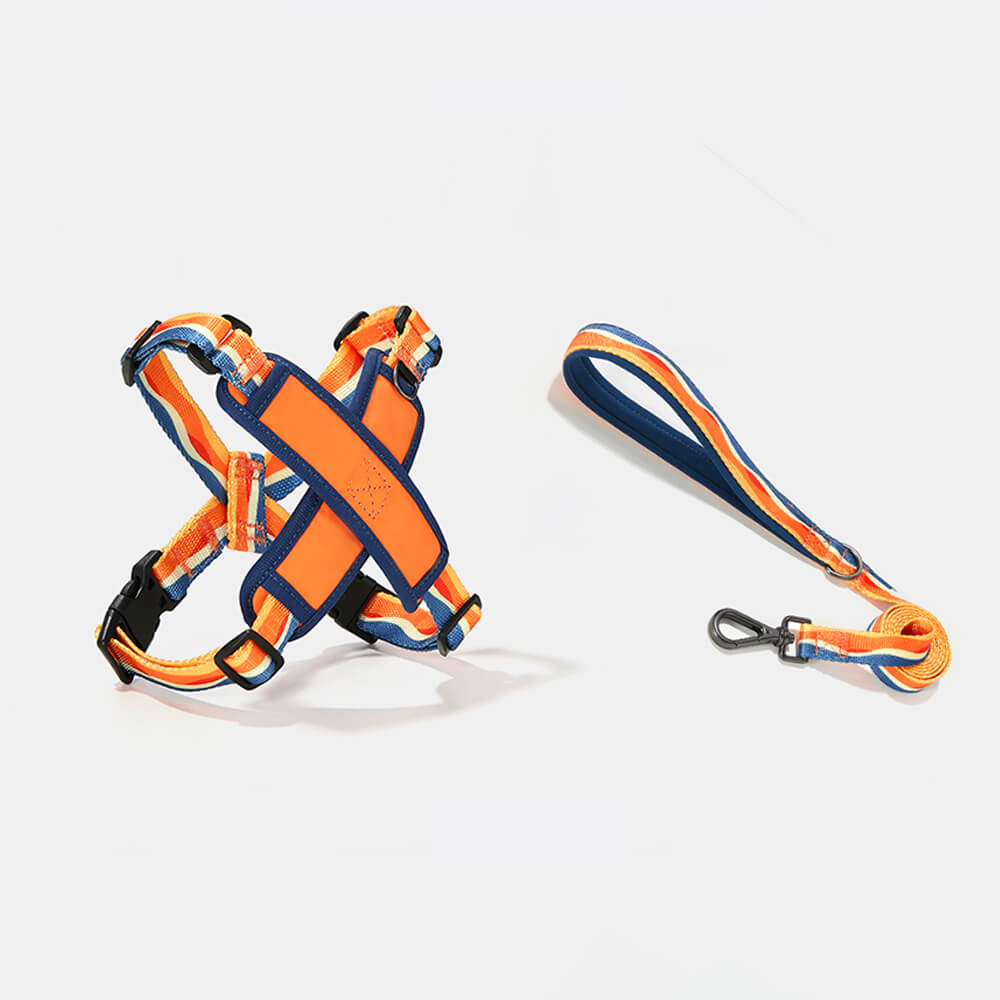 Kit di museruola e guinzaglio per cani regolabile e durevole a forma di X
