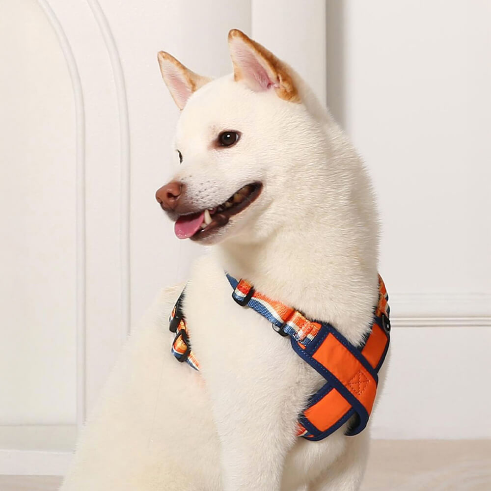 Kit di museruola e guinzaglio per cani regolabile e durevole a forma di X