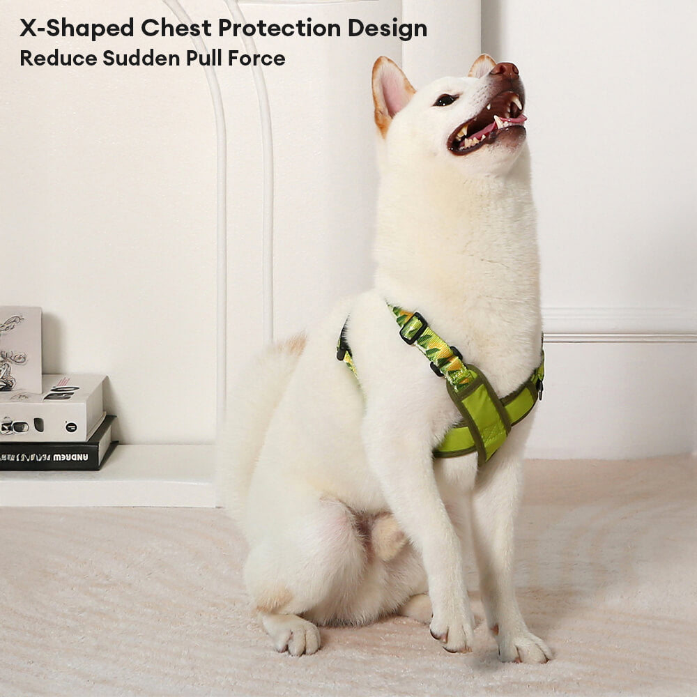 X-Shaped Adjustable Durable Dog Harness and Leash Kit