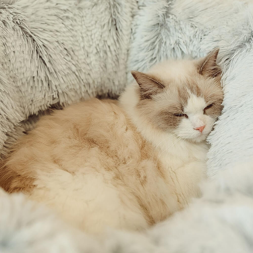Letto per gatti tondo morbido pieghevole 2 in 1 per interni