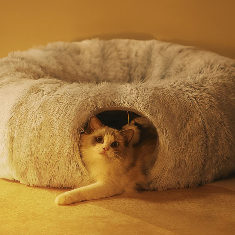 Letto per gatti tondo morbido pieghevole 2 in 1 per interni