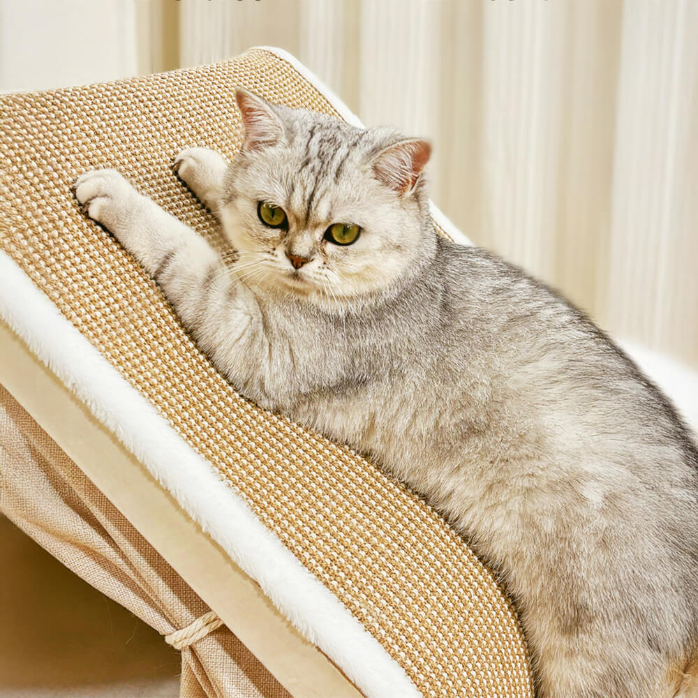 Tenda per gatti tutto-in-uno con tetto graffiabile e area per dormire accogliente